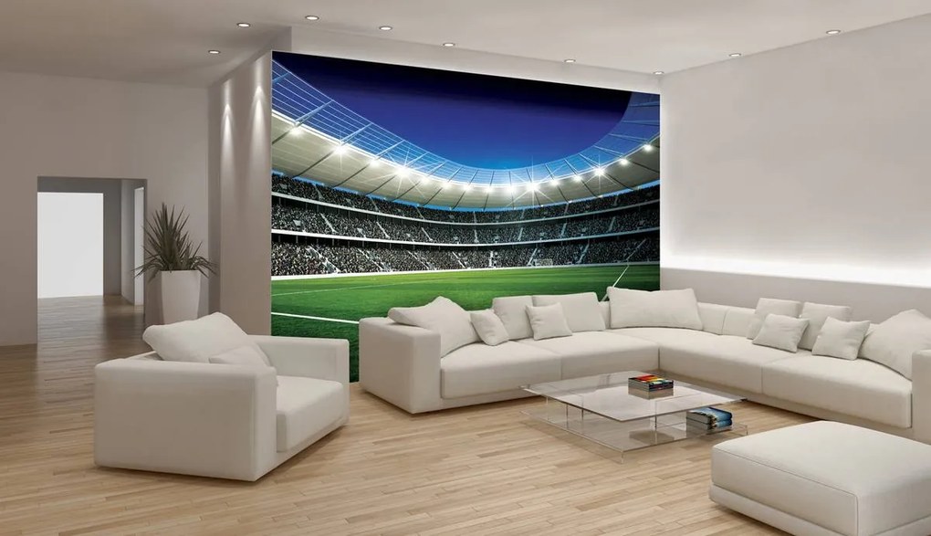 Fototapet - Stadion de fodbal (254x184 cm)