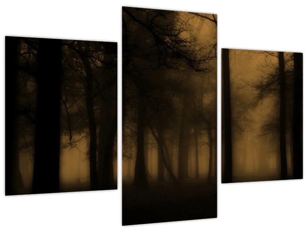 Tablou - Pădurea întunecată (90x60 cm)