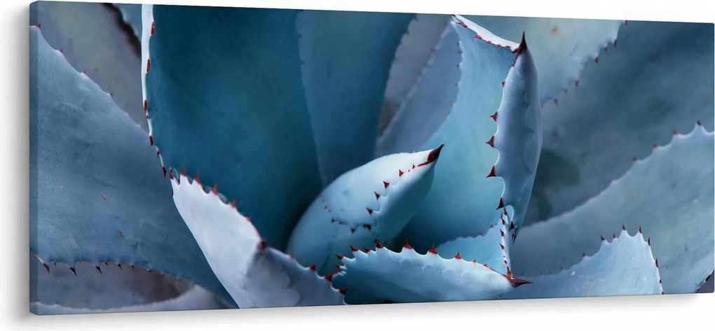 Tablou - Agave (120x50 cm)
