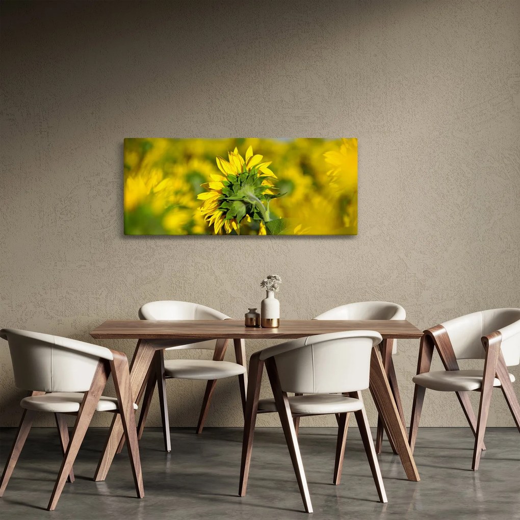 Tablou cu floarea soarelui (120x50 cm)