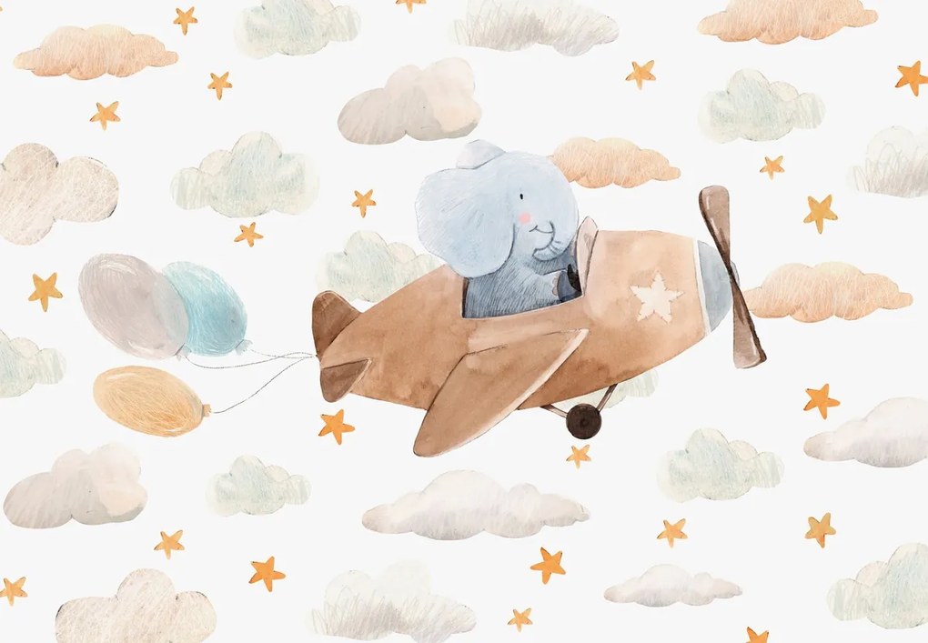 Fototapet - Elefant pilot (147x102 cm)