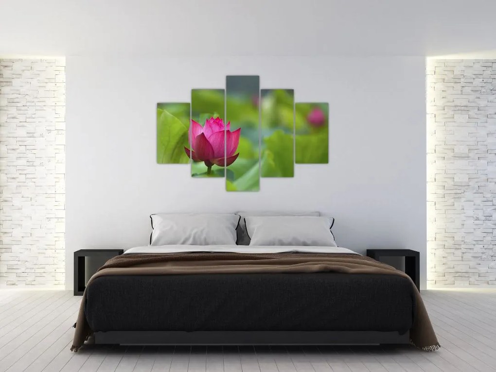 Tablou - floare de apă (150x105 cm)