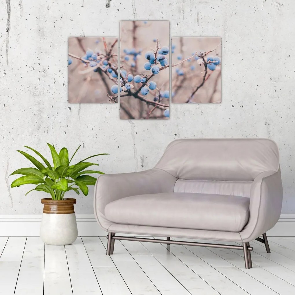 Tablou cu fructe pe tufiș (90x60 cm)