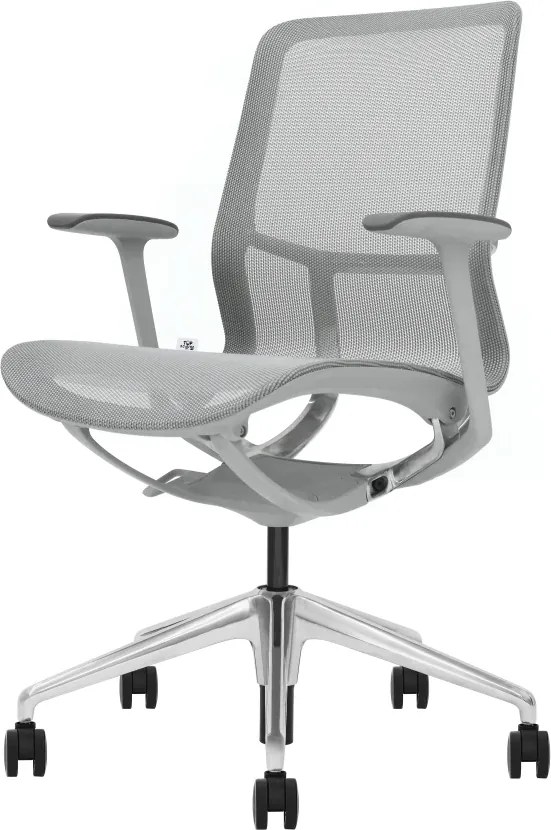 EMILY GREY – Scaun ergonomic premium, Mesh respirabil 4D, înclinare cu blocare, înălțime reglabila, cadru din nylon, bază din aluminiu, Gri