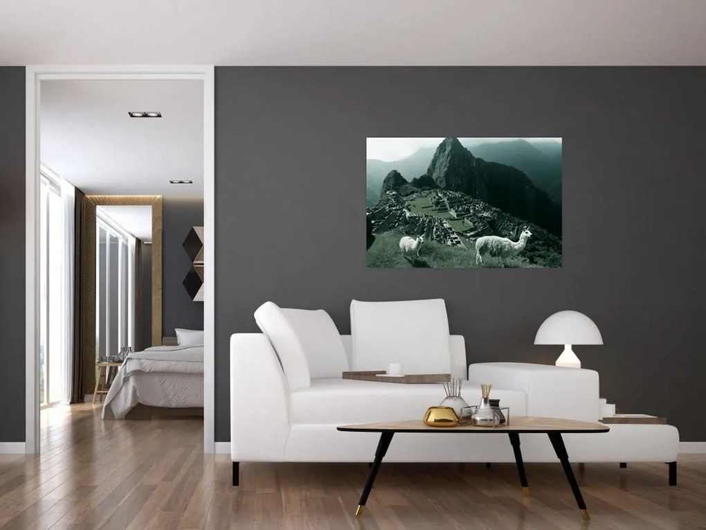 Tablou - Lamas la Machu Picchu în Peru (90x60 cm)