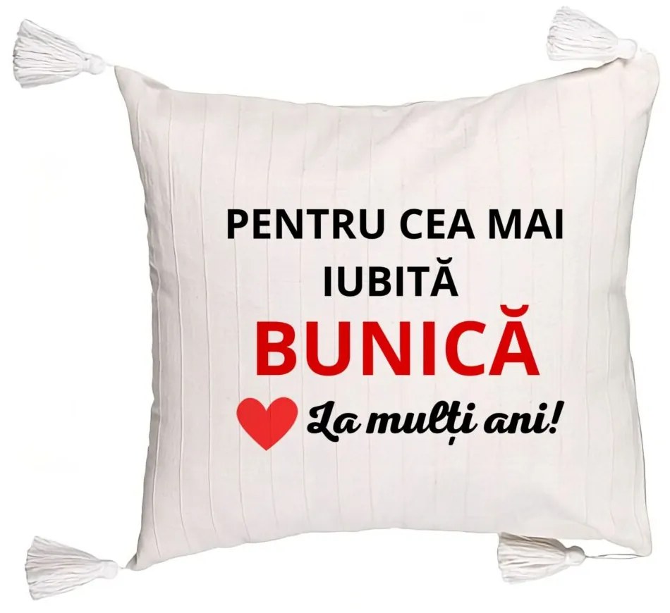 Perna Decorativa cu Franjuri pentru Bunica 16, 45x45 cm, Cu fermoar