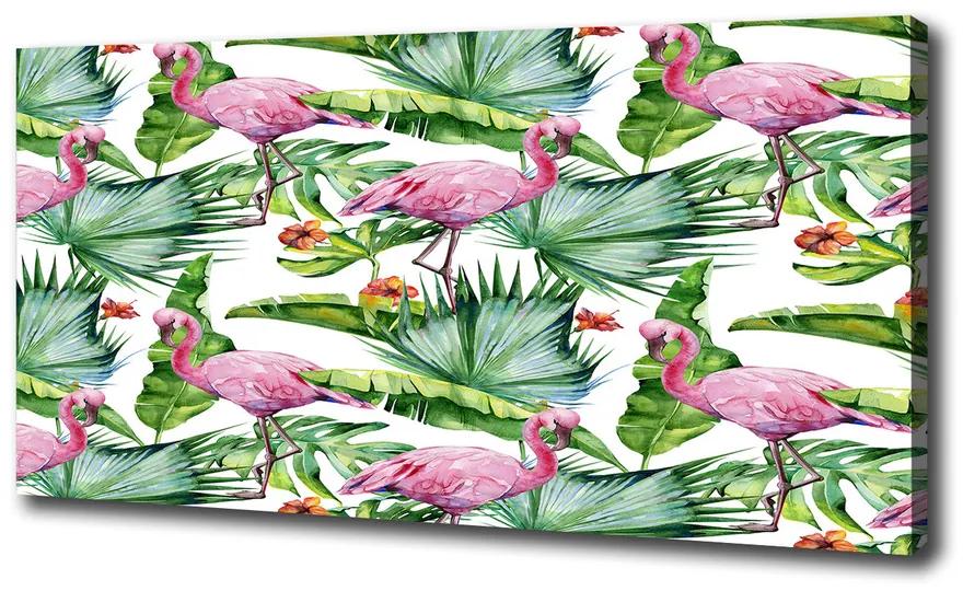 Tablou pe pânză Plante flamingos