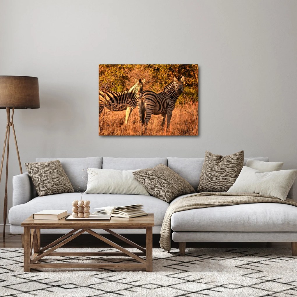 Tablou cu zebre (70x50 cm)