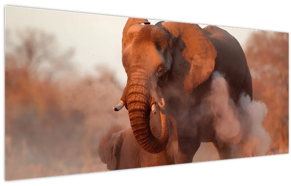 Tablou - Marele elefant african (120x50 cm)