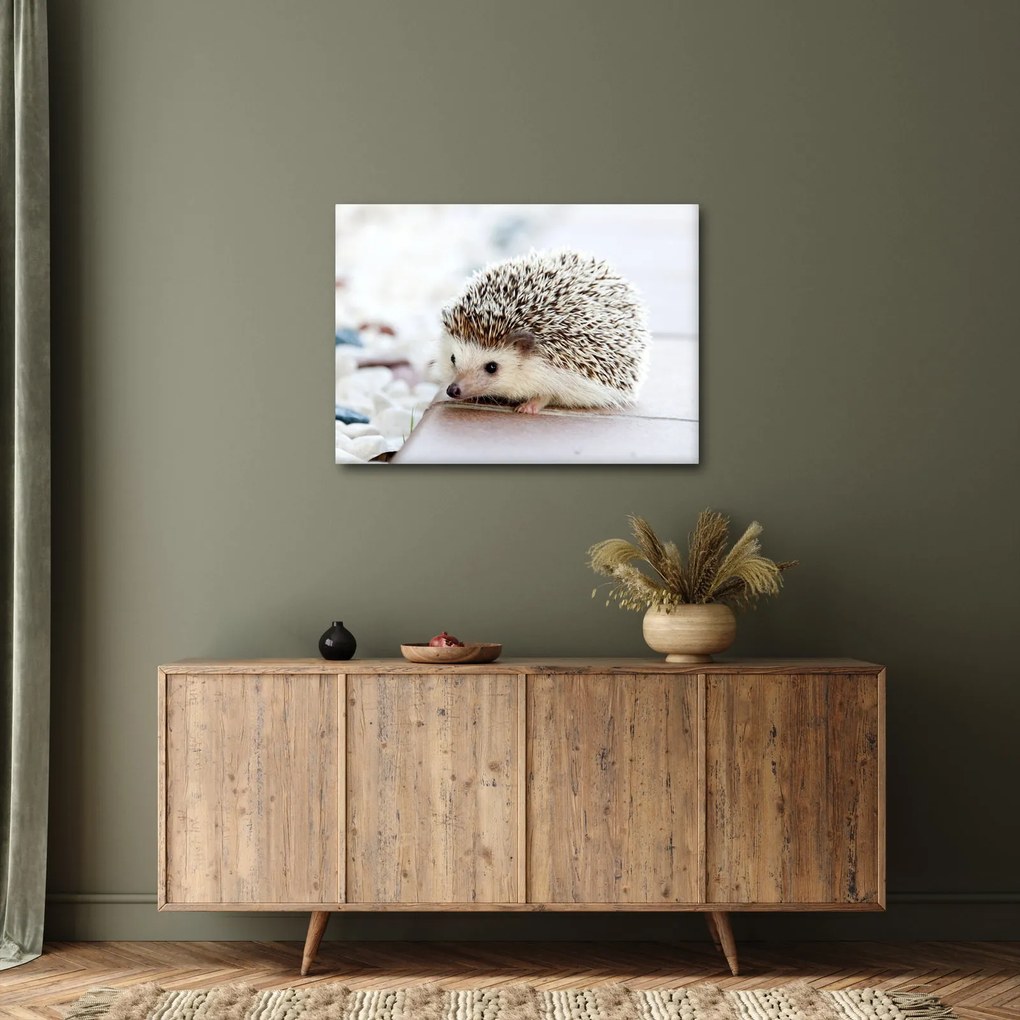 Tablou cu arici (70x50 cm)