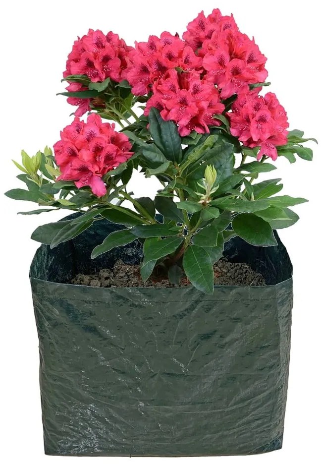 Pat ridicat de plante – Garden Pleasure