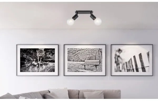 Globo 54030-2 - Lampă spot HERMINE 2xE27/60W/230V