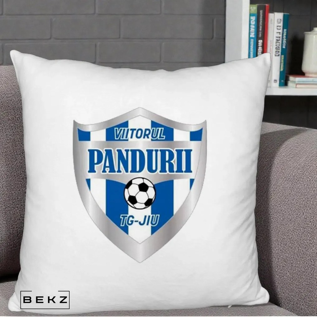 Perna Personalizata Pandurii Targu Jiu Fotbal, 40x40 cm, Alb Pufos, Husa Detasabila, Perna Inclusa, BEKZ®