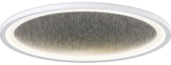 Plafonieră LED dimabilă TANIDA LED/31W/230V 3000-6500K + telecomandă