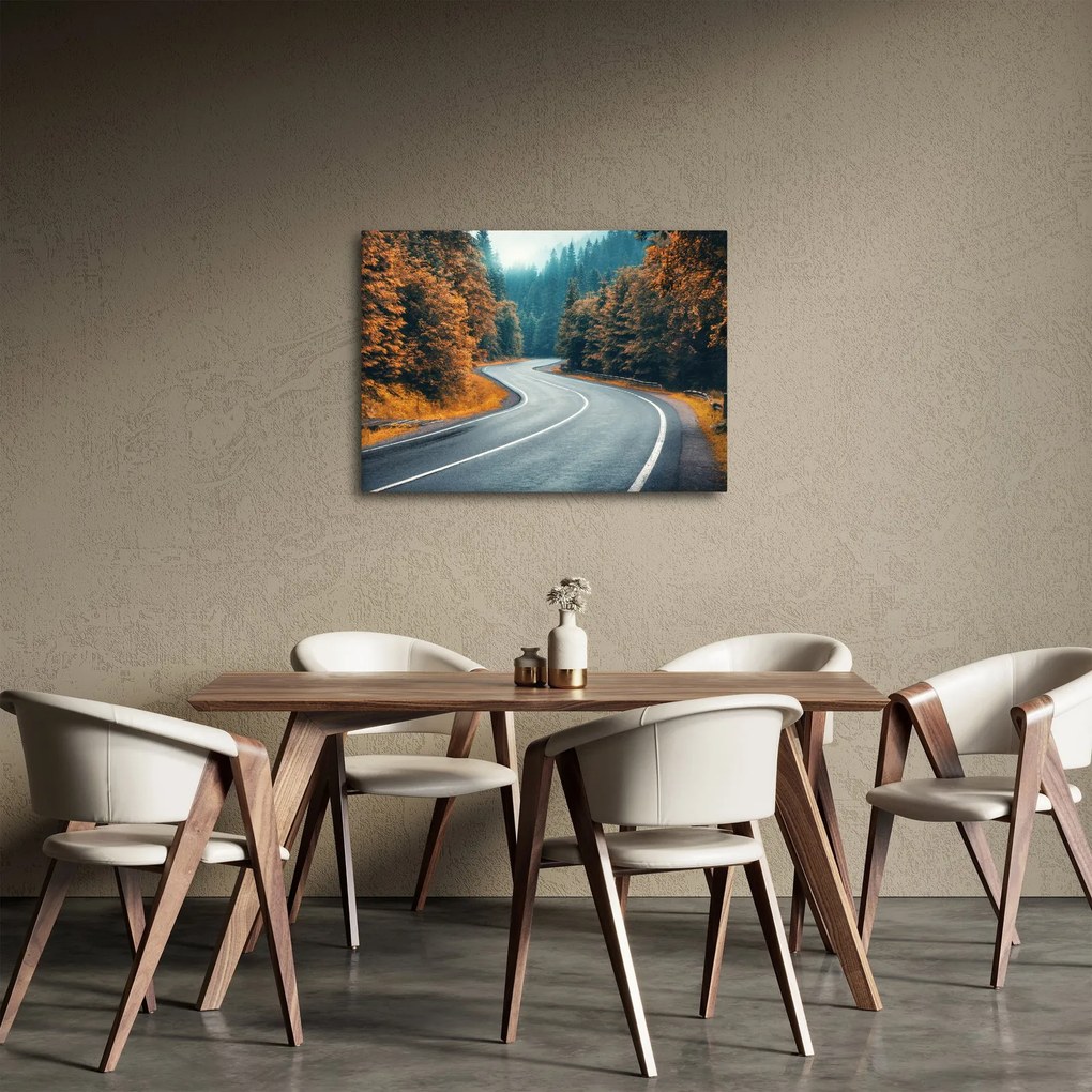 Tablou - Drumul cu serpentine (70x50 cm)