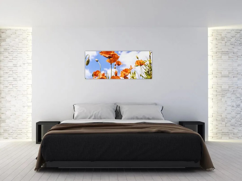 Tablou cu macii (120x50 cm)