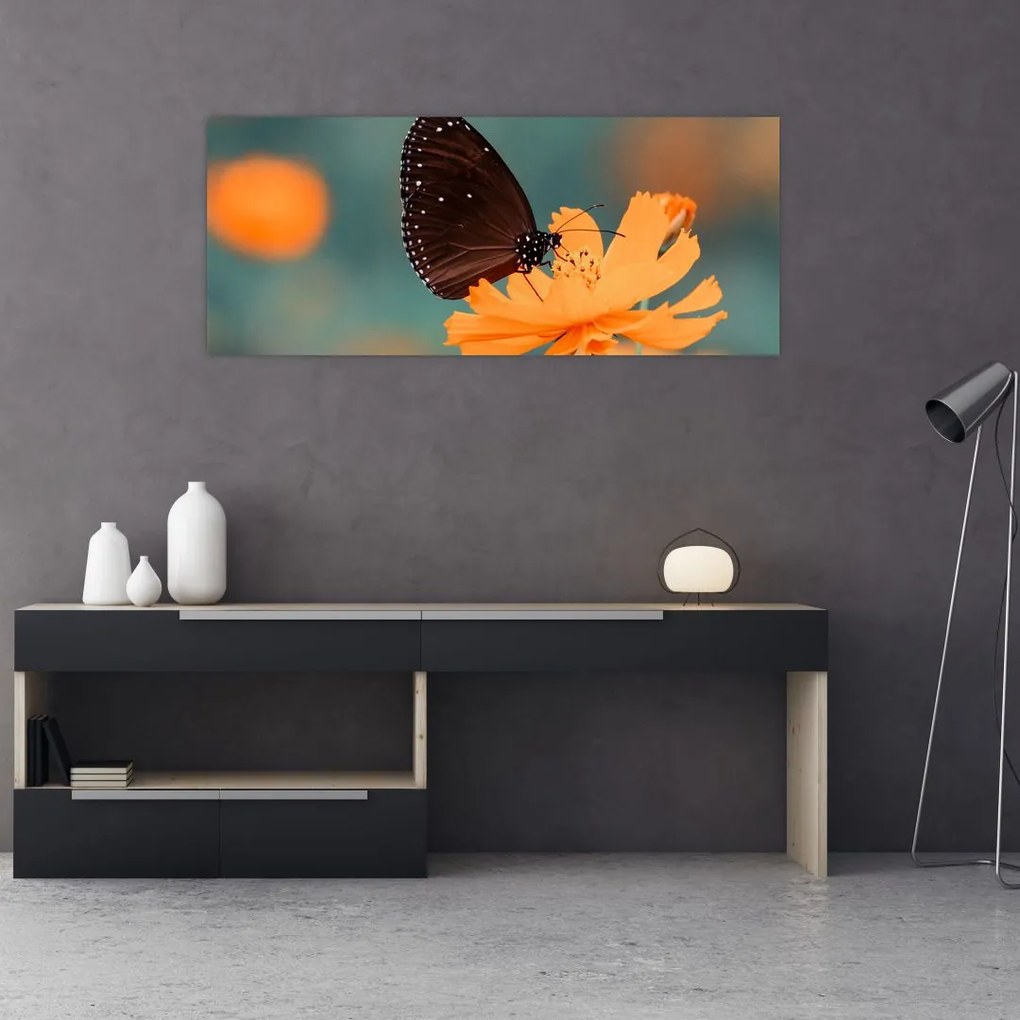 Tablou - fluture pe o floare portocalie (120x50 cm)