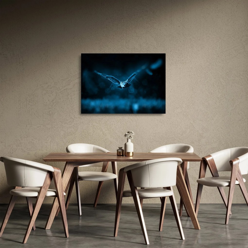 Tablou pe sticlă cu bufnița zburând (70x50 cm)