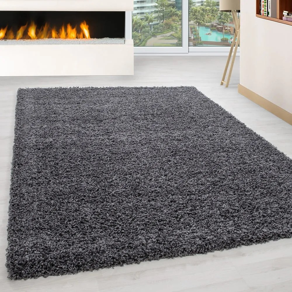 Covor gri închis 120x170 cm Life – Ayyildiz Carpets