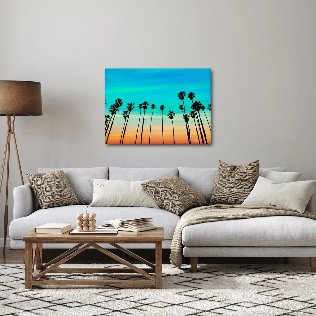 Tablou - California (70x50 cm)