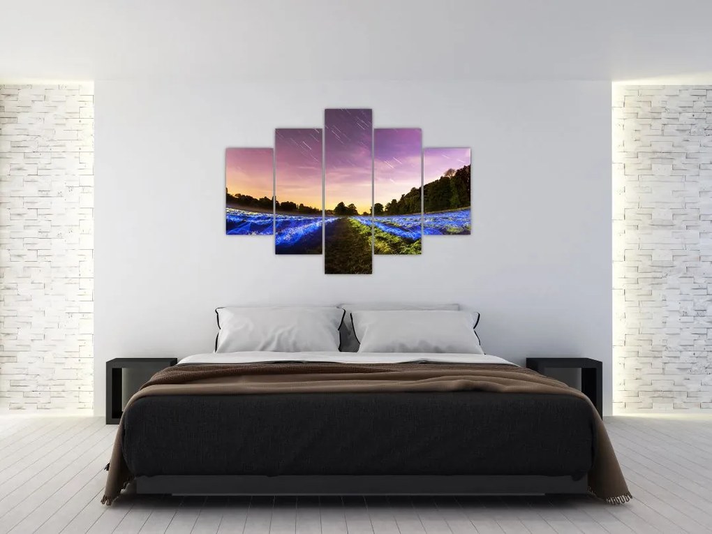 Tablou cu câmp colorat (150x105 cm)
