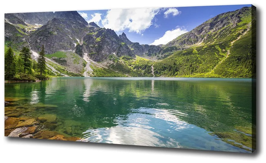 Pictură pe pânză Marine ochi tatry