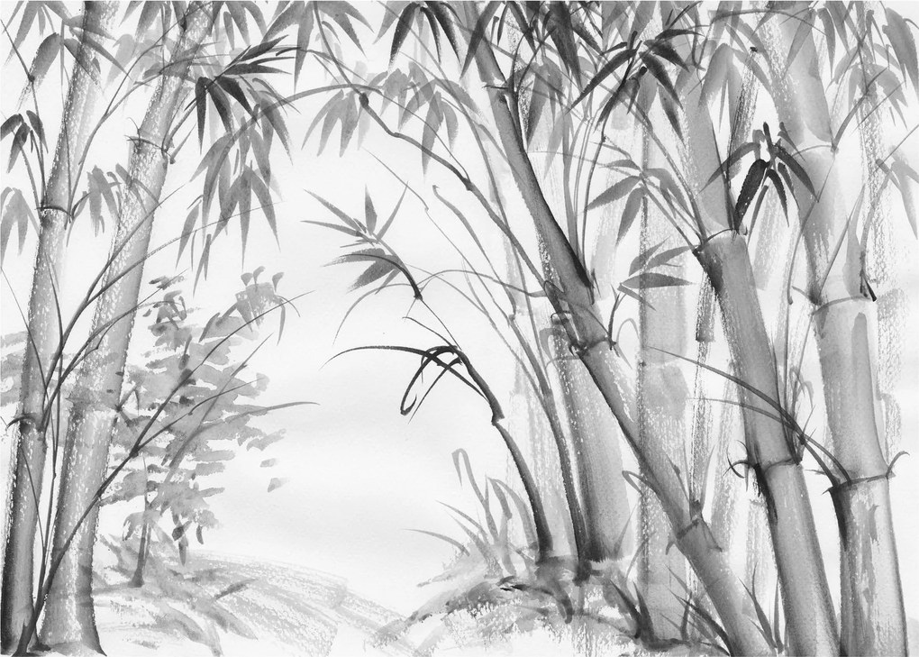 Tablou pe sticlă - Pădure de bambus (70x50 cm)
