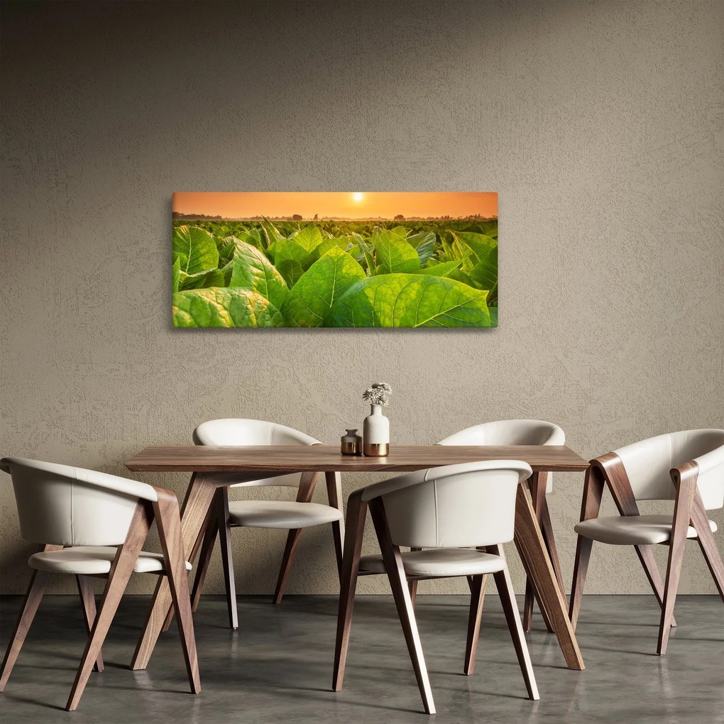 Tablou - Câmp (120x50 cm)