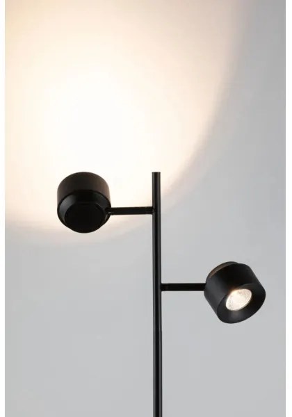 Lampadar dimabil Paulmann 79775 2xLED/3W PURIK PANE 230V