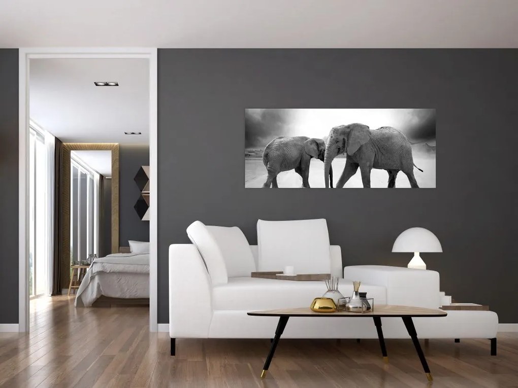 Tablou cu elefanți (120x50 cm)