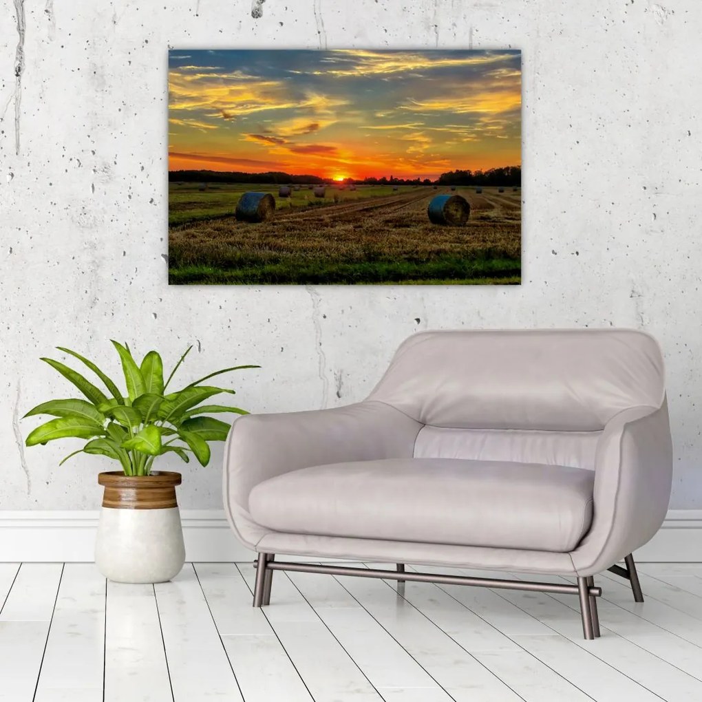 Tablou - Baloți din sat (90x60 cm)