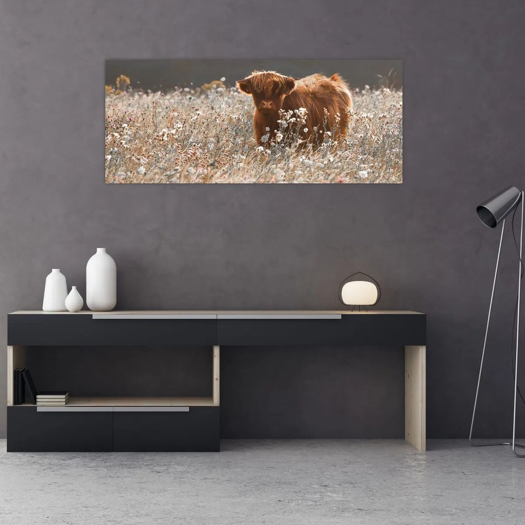 Tablou - Vacă scoțiană (120x50 cm)