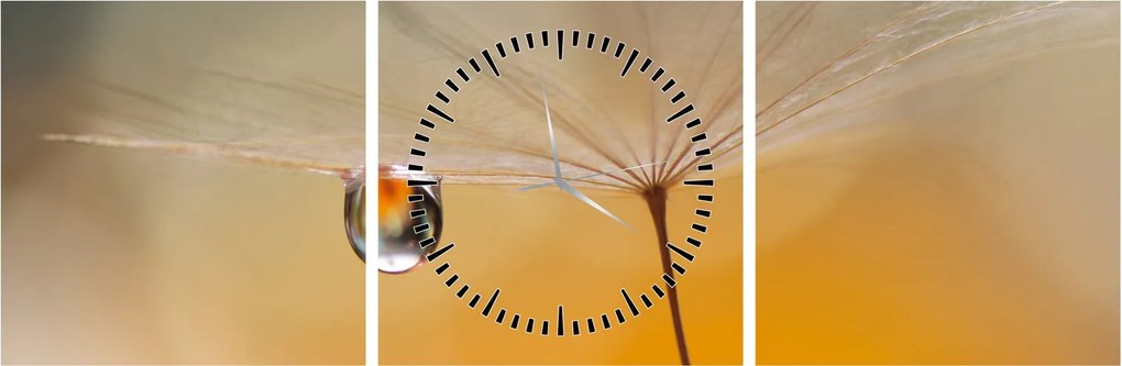Tablou - Flori macro (cu ceas) (90x30 cm)