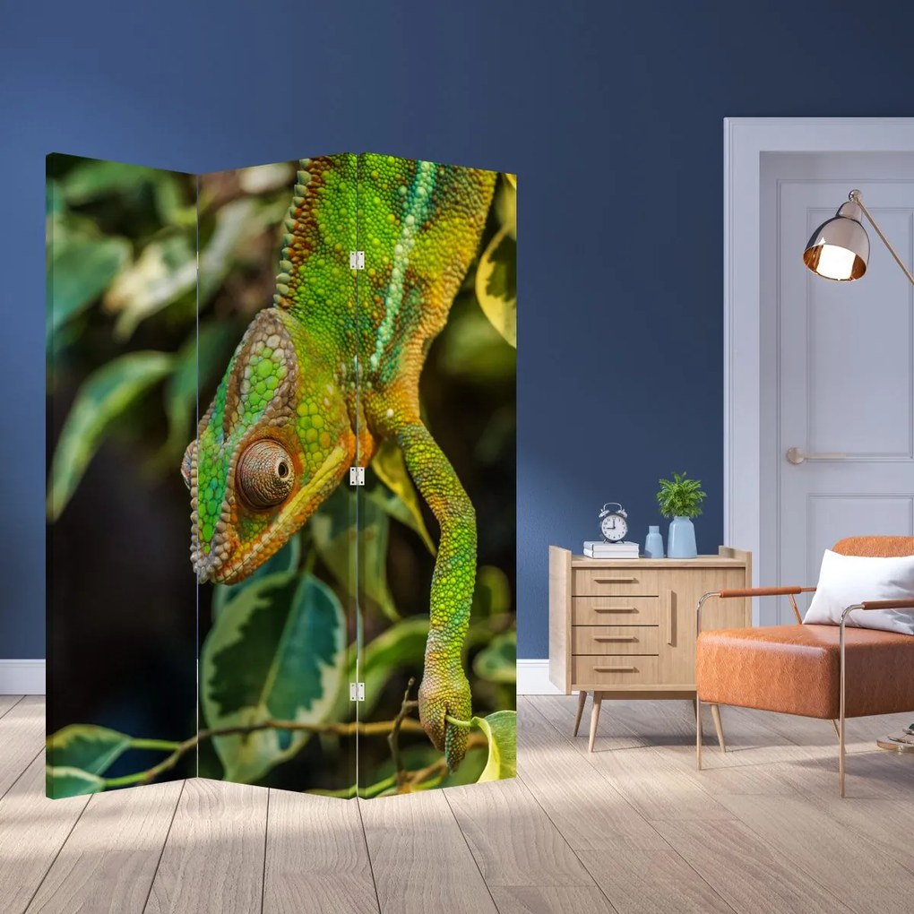 Paravan - Cameleon (126x170 cm)