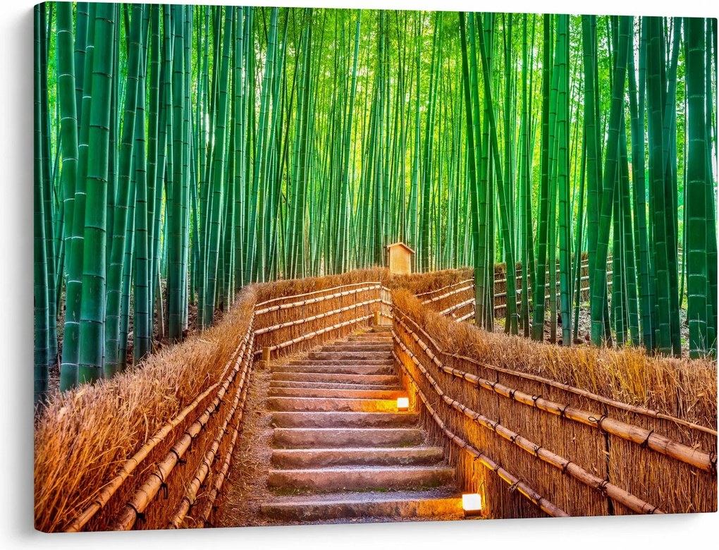 Tablou - Pădure de bambus japoneză (70x50 cm)