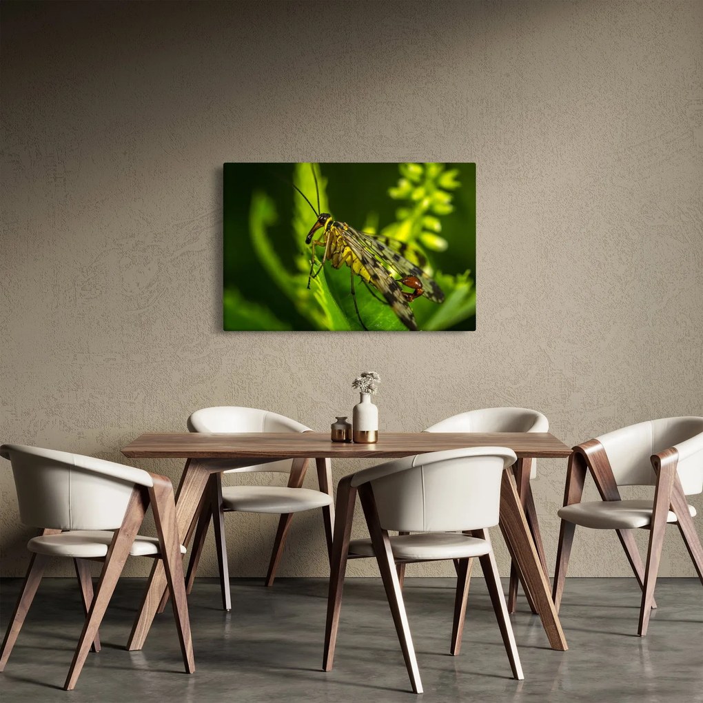 Tablou cu omide (90x60 cm)