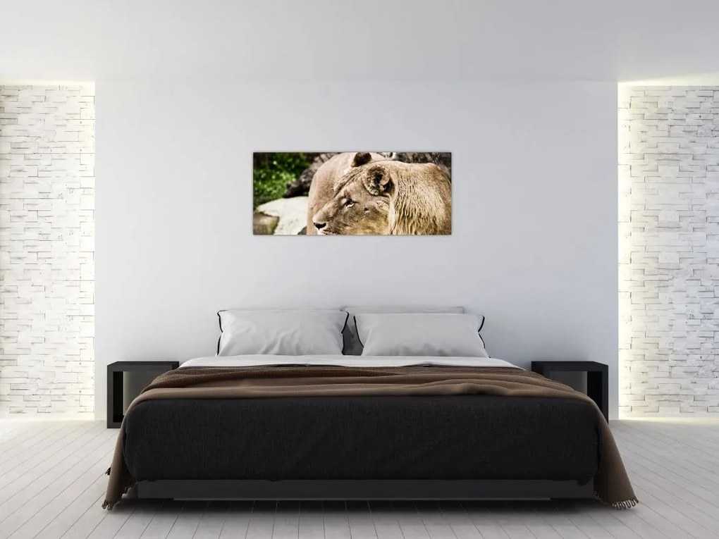 Tablou cu leoaică (120x50 cm)