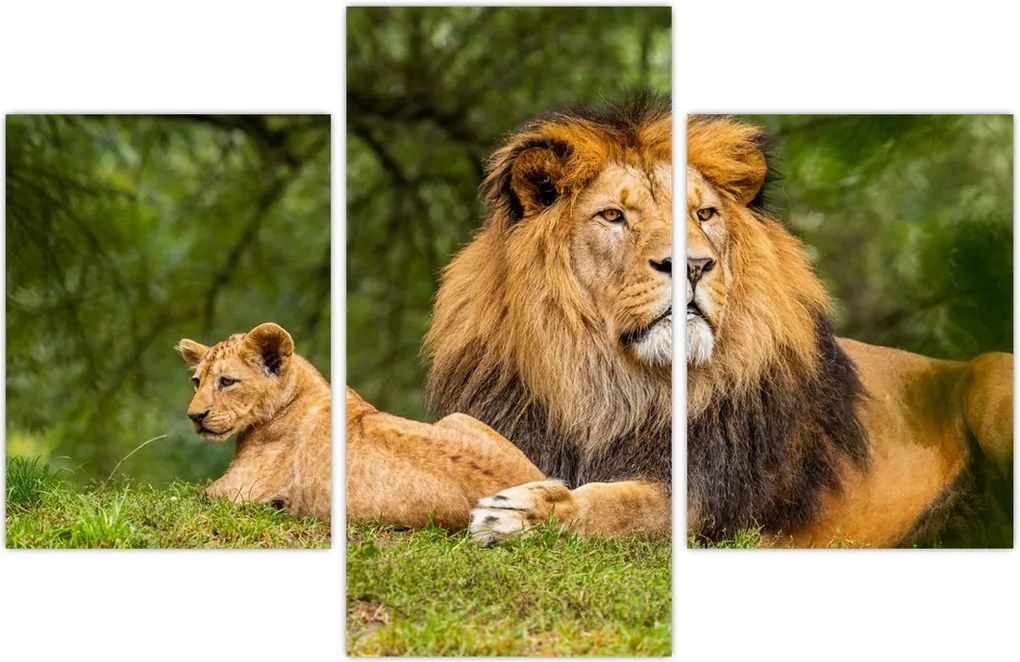 Tablou cu lei (90x60 cm)