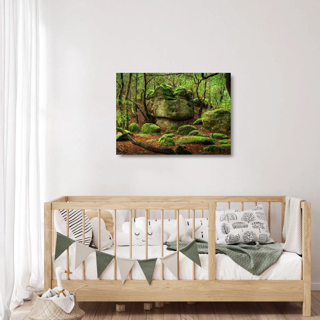 Tablou pe sticlă cu pădurea fermecată (70x50 cm)