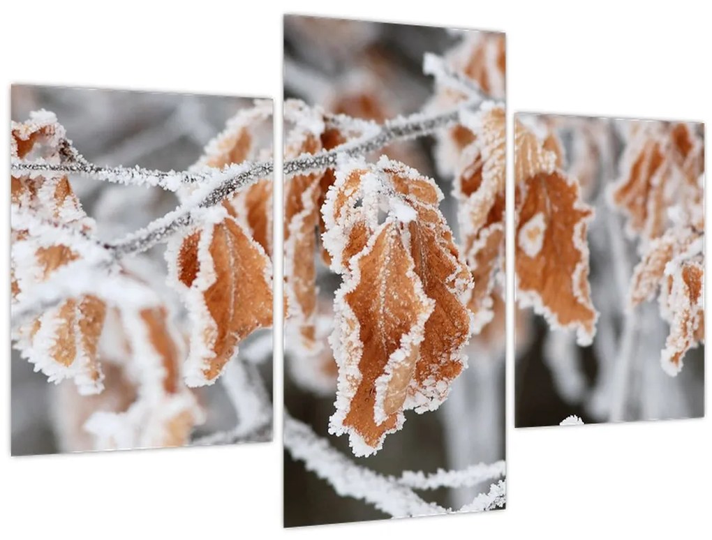 Tablou - Frunze înghețate (90x60 cm)