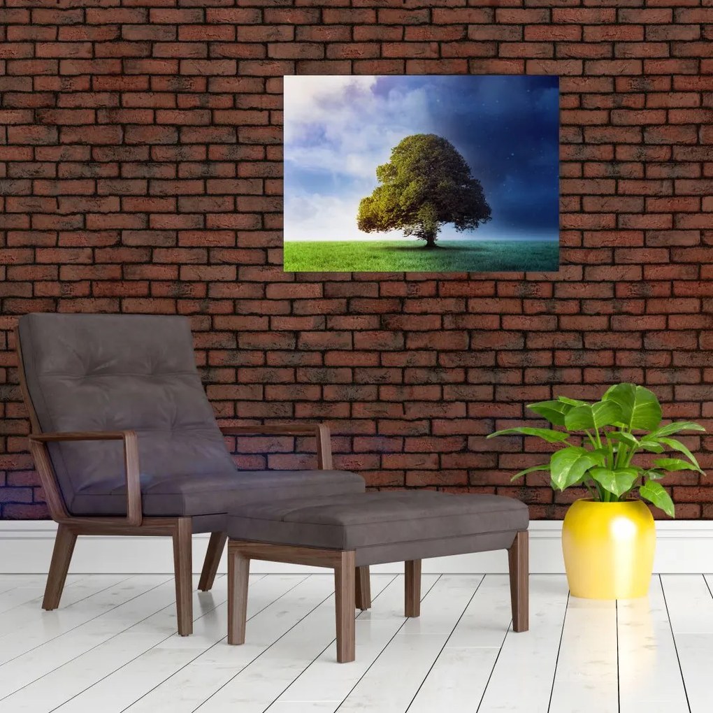 Tablou - Noapte și zi (70x50 cm)