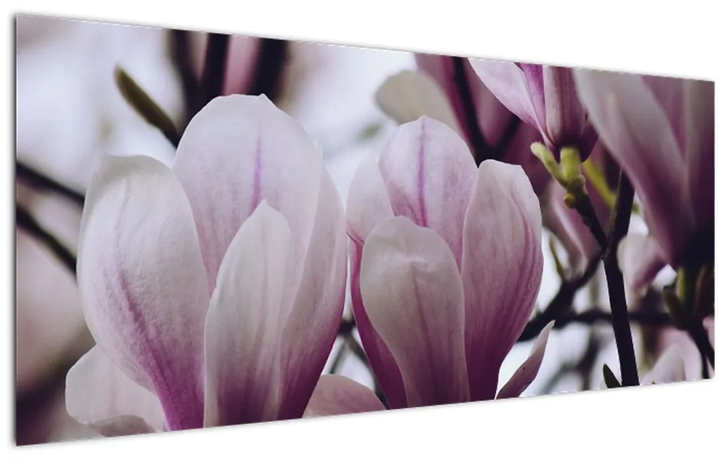 Tablou - Magnolie (120x50 cm)
