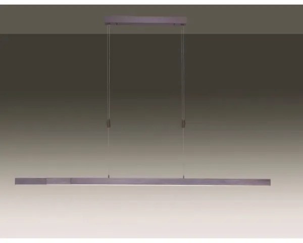 Lustră LED dimabilă pe cablu Paul Neuhaus 2568-24 ADRIANA LED/14W/230V