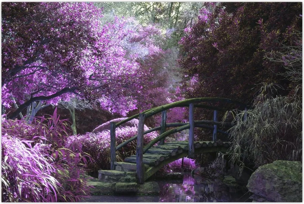 Tablou - Grădină mistică (90x60 cm)