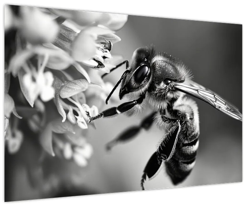 Tablou - Detaliu de albină (90x60 cm)