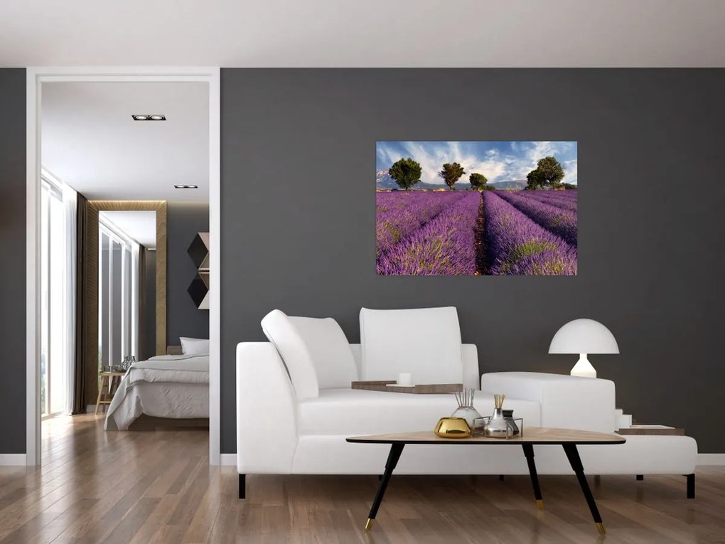 Tablou - câmp de lavandă și munți (90x60 cm)