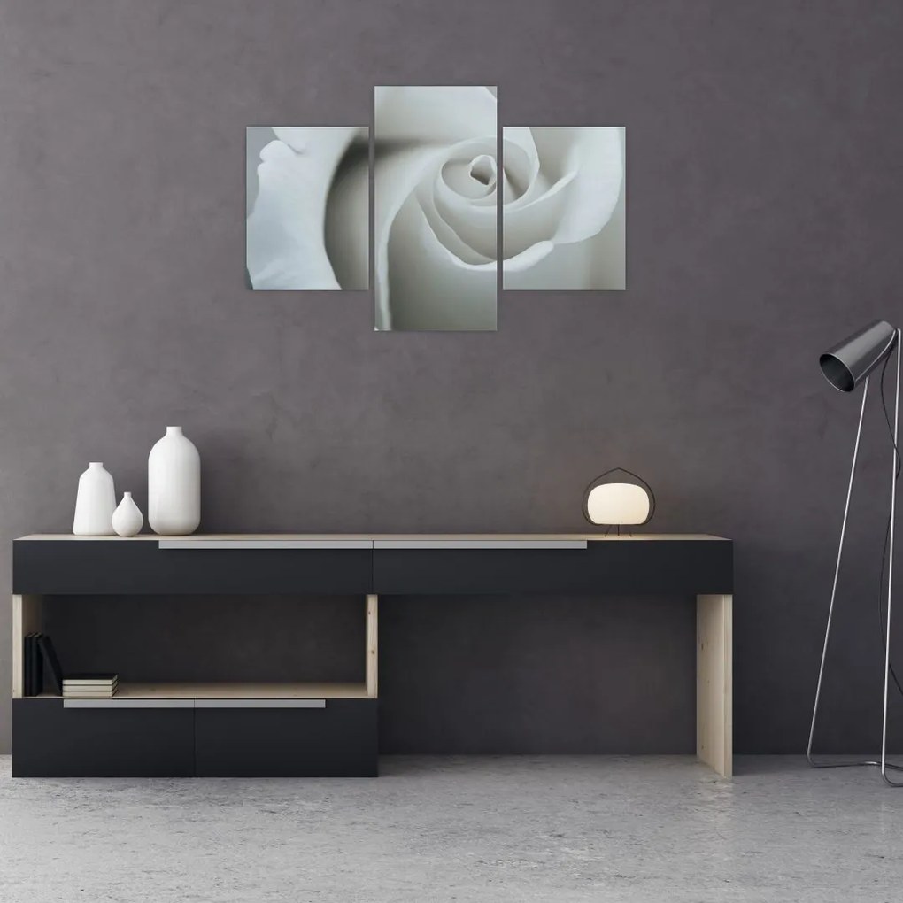 Tablou - Trandafirul alb (90x60 cm)