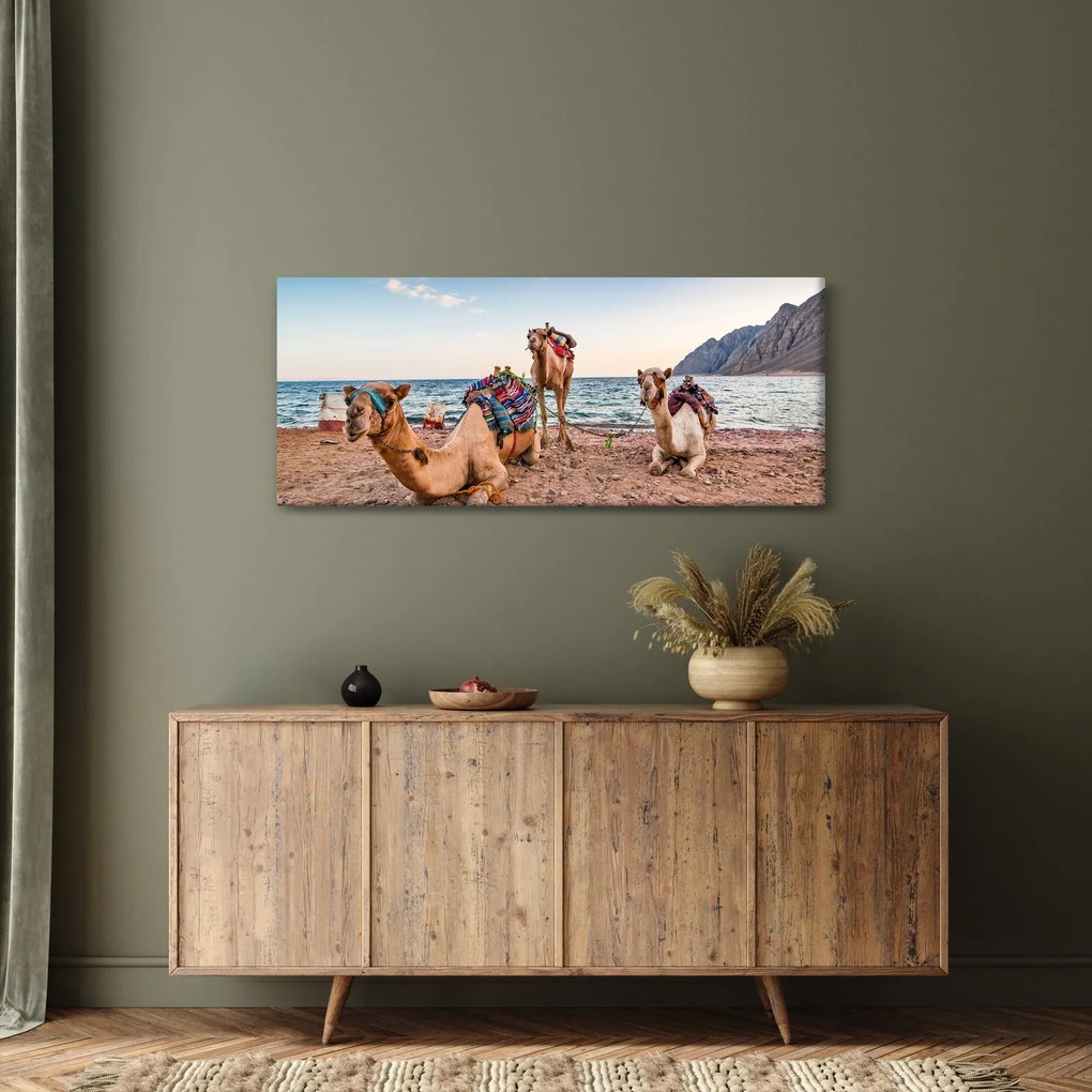 Tablou cu cămile (120x50 cm)