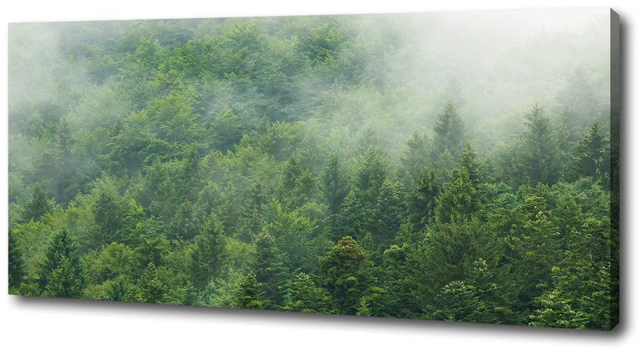 Print pe pânză Pădure misterioasă
