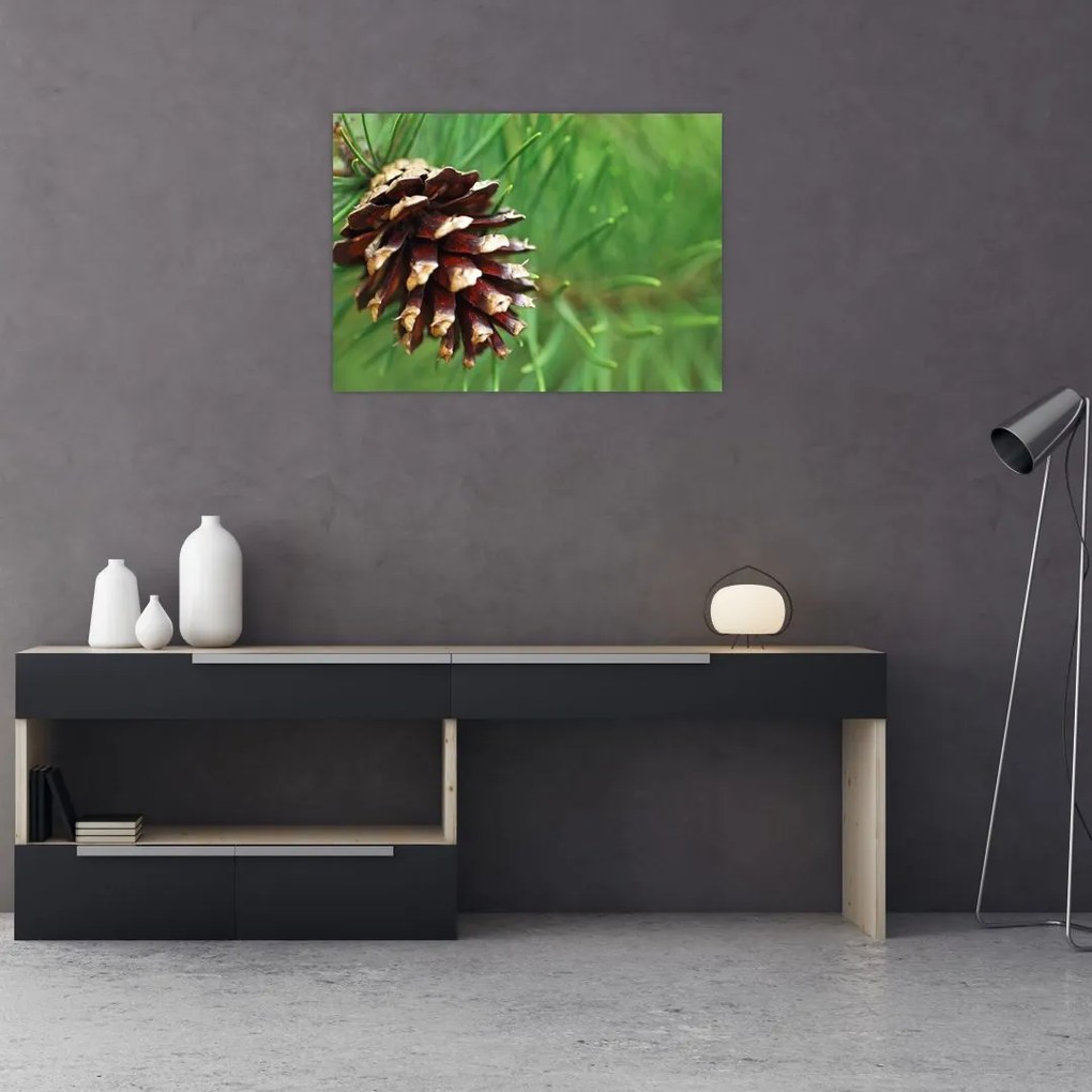 Tablou pe sticlă cu con (70x50 cm)